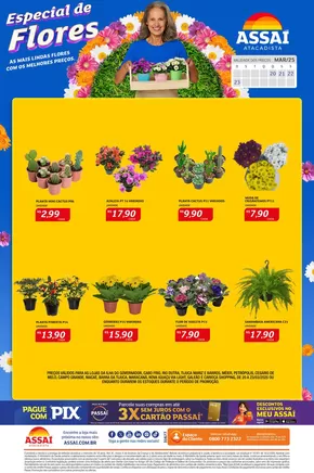 Promoções de Supermercados em Rio de Janeiro | Ótima oferta para caçadores de pechinchas de Assaí Atacadista | 20/03/2025 - 23/03/2025