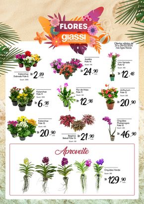 Catálogo Giassi Supermercados | Flores Giassi  | 23/02/2024 - 29/02/2024