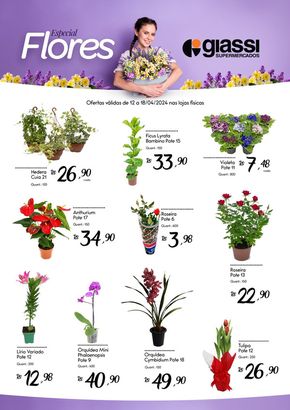 Promoções de Supermercados em Jaraguá do Sul | Especial Flores Giassi  de Giassi Supermercados | 12/04/2024 - 18/04/2024