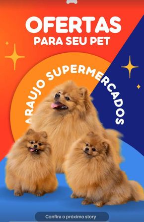Promoções de Supermercados em Itabira | Ofertas para seu pet de Araújo Hipermercados | 16/04/2024 - 30/04/2024
