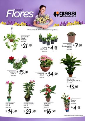 Promoções de Supermercados em Guaramirim | Flores Giassi  de Giassi Supermercados | 26/04/2024 - 02/05/2024