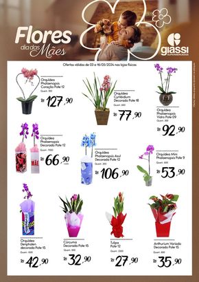 Promoções de Supermercados em Santo Amaro da Imperatriz | Flores Dia Das Mães Giassi  de Giassi Supermercados | 03/05/2024 - 16/05/2024