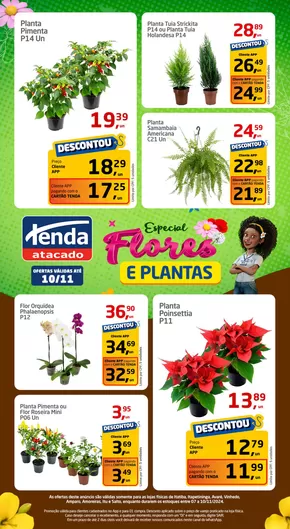 Catálogo Tenda Atacado em Campinas | Especial Flores e Plantas | 07/11/2024 - 10/11/2024