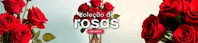 Promoções de Casamentos e Festas | Coleção De Rosas de Nova Flor | 11/11/2024 - 11/12/2024