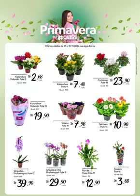 Promoções de Supermercados em Joinville | Flores de Giassi Supermercados | 15/11/2024 - 21/11/2024