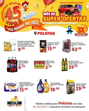 Catálogo Super Nicolini em Pelotas | Super Ofertas | 22/11/2024 - 24/11/2024