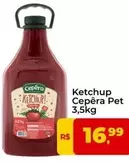 Oferta de Cepêra - Ketchup por R$16,99 em Tonin Superatacado