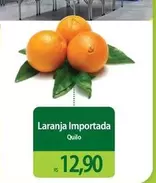 Oferta de Laranja Importada por R$12,9 em Atacadão