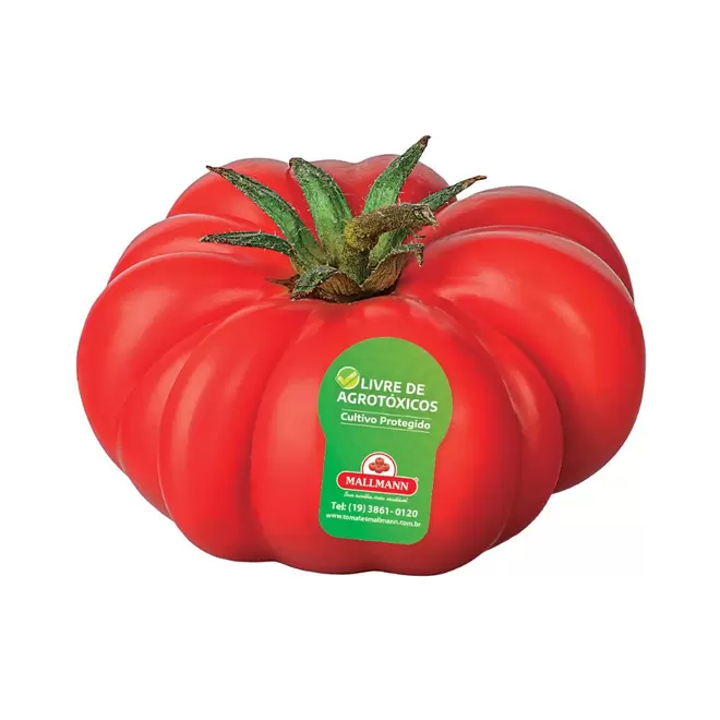 Oferta de Tomate Mediterrâneo Livre de Agrotóxicos Mallmann kg por R$6,2 em Mambo