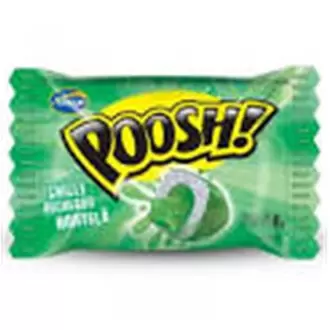 Oferta de Chicle de Bola Poosh de Hortelã Arcor 200g por R$7,68 em Macromix Atacado