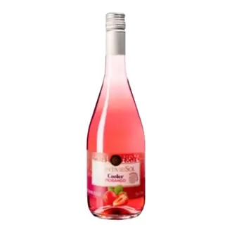 Oferta de Cooler com Vinho Gaseificado Sabor Morango Catafesta 275Ml por R$10 em San Michel Supermercados