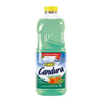 Oferta de Desinfetante Candura Pinho Campestre Embalagem 2L por R$6,44 em San Michel Supermercados