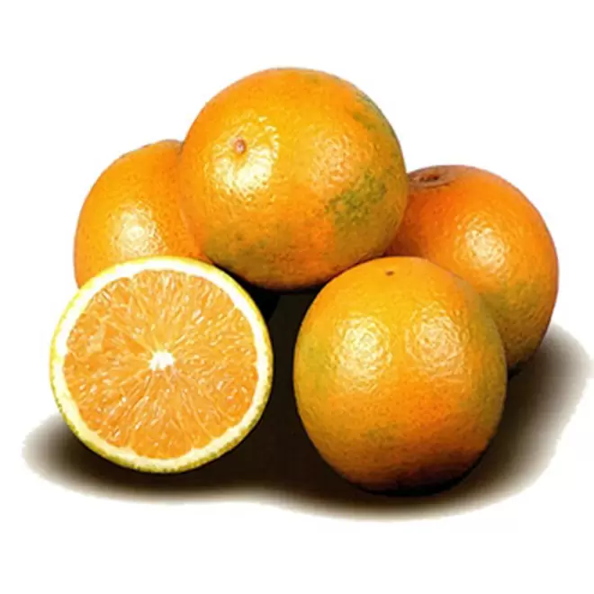 Oferta de Laranja Pera Rio 1Kg por R$9,99 em Super Nosso