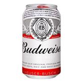 Oferta de Cerveja Budweiser 350ml por R$3,99 em Supermercados Tiaozinho