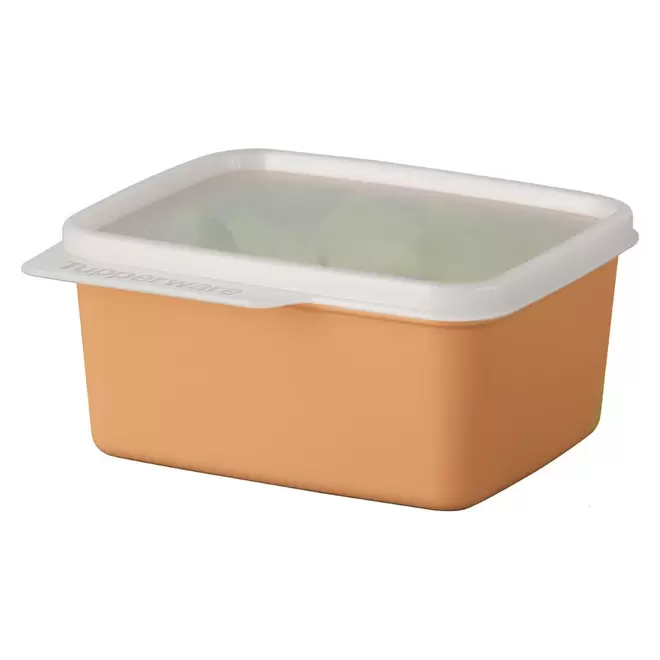 Oferta de Pote Hermético Basic Line Tupperware 500ml Laranja por R$45,9 em Tupperware