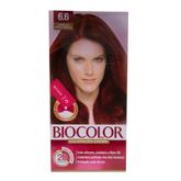Oferta de Tint Kit Biocolor Vermelho Inte Verm. Intenso por R$9,99 em Barracão Supermercado