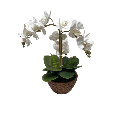 Oferta de Vaso Redondo Em Rattan Com Orquidea Phalaenopsis Branca 36X47Cm (Lxa) por R$598 em Cecilia Dale