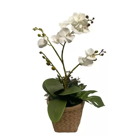 Oferta de Arranjo De Orquidea Branca Com Vaso Em Cimento Detalhes Corda 36X59Cm (Lxa) por R$419 em Cecilia Dale