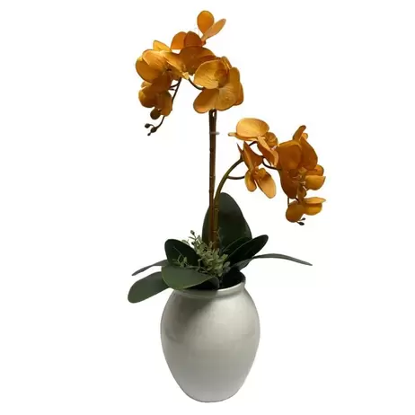 Oferta de Arranjo De Orquideas Phalaenopsis Amarela No Vaso Branco Em Ceramica 32X65Cm (Lxa) por R$549 em Cecilia Dale