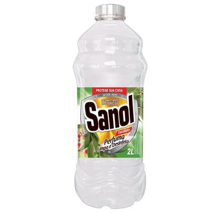 Oferta de Desinfetante Sanol Eucalipto 2L por R$4,49 em D'avó Supermercado