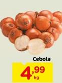 Oferta de Cebola por R$6,99 em Carrefour