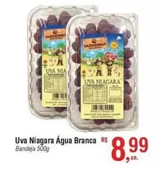 Oferta de Rs - Uva Niagara Agua Branca por R$8,99 em Fort Atacadista