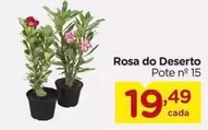 Oferta de Rosa -  Do Deserto por R$19,49 em Carrefour