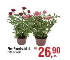 Oferta de Flor Roseira Mini por R$26,9 em Fort Atacadista