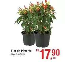 Oferta de Flor De Pimenta por R$17,9 em Fort Atacadista