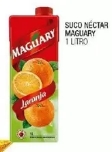 Oferta de Maguary - Suco Néctar por R$2,3 em Fort Atacadista