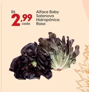 Oferta de Alface Baby Salanova Hidropônica Cada Roxa por R$2,99 em Rissul