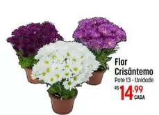 Oferta de Flor - por R$14,99 em Super Muffato