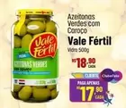 Oferta de Vale Fértil - Azeitonas Verdes Com Caroço por R$18,9 em Super Muffato