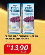 Oferta de Fleischmann - Creme Tipo Chantilly Gran Finale por R$13,9 em Assaí Atacadista