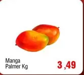 Oferta de Manga Palmer por R$3,49 em Spani Atacadista