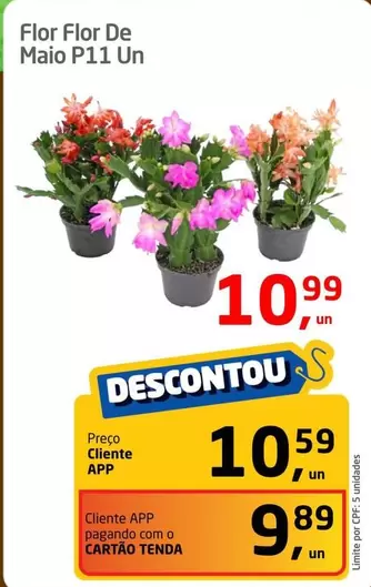 Oferta de Flor -  De Maio P11 Un por R$10,99 em Tenda Atacado