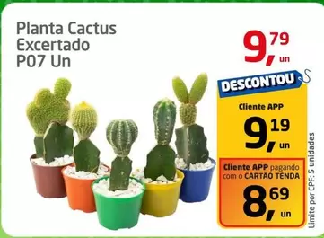 Oferta de Planta Cactus Excertado P07 Un por R$9,79 em Tenda Atacado