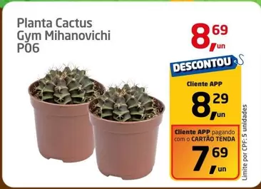 Oferta de Planta Cactus Gym P06 por R$8,69 em Tenda Atacado