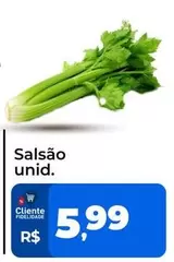 Oferta de Salsão  por R$5,99 em Tonin Superatacado