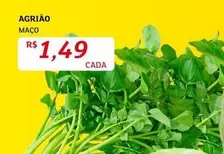 Oferta de Agrião por R$1,49 em Assaí Atacadista