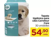 Oferta de Carrefour - Tapete Higiênico Para Cães por R$54,9 em Carrefour