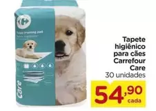 Oferta de Carrefour - Tapete Higienico Para Cães por R$54,9 em Carrefour