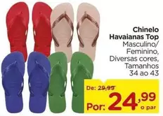 Oferta de Havaianas - Chinelo Top por R$24,99 em Carrefour