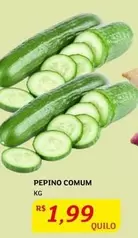 Oferta de Pepino Comum por R$1,99 em Assaí Atacadista