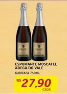 Oferta de Adega - Espumante Moscatel Do Vale por R$27,9 em Assaí Atacadista