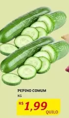 Oferta de Pepino Comum por R$1,99 em Assaí Atacadista