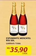 Oferta de Rio sol - Espumante Moscatel por R$35,9 em Assaí Atacadista