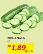 Oferta de Pepino Comum por R$1,89 em Assaí Atacadista