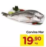 Oferta de Corvina Mar por R$19,9 em Carrefour