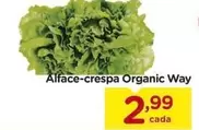 Oferta de Alface-crespa Organic Way por R$2,99 em Carrefour